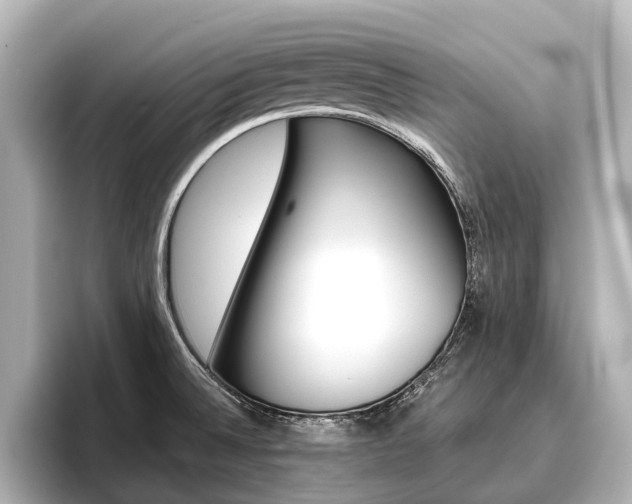 X0000096461524200801241108