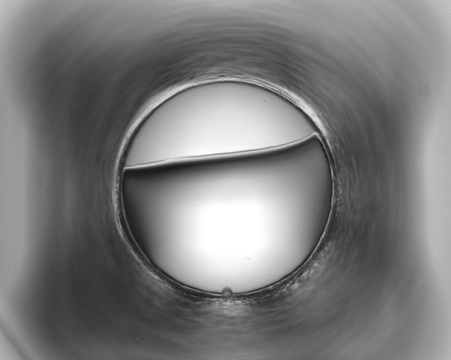 X0000096461525200801241108
