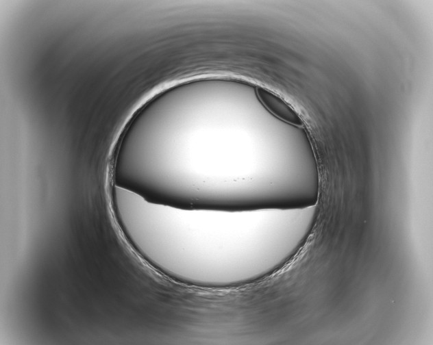 X0000096461526200801241108