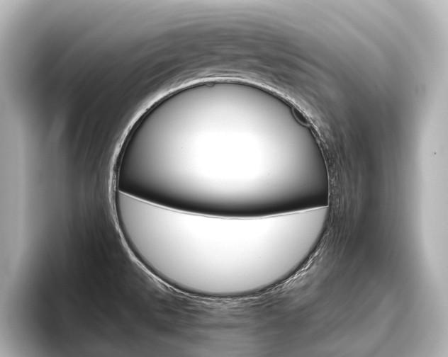 X0000096461527200801241108