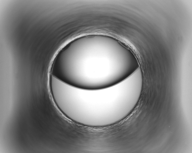 X0000096461528200801241108