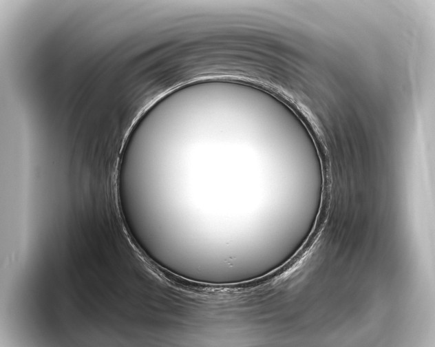 X0000096461529200801241108