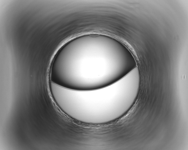 X0000096461530200801241108