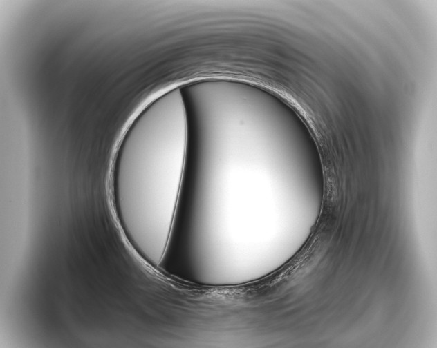 X0000096461531200801241108