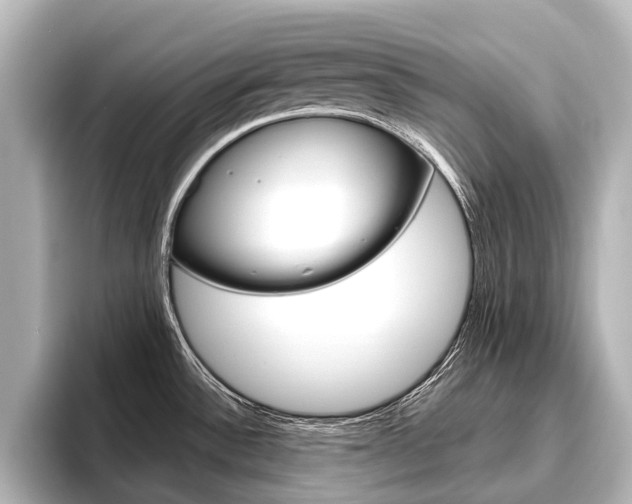 X0000096461532200801241108
