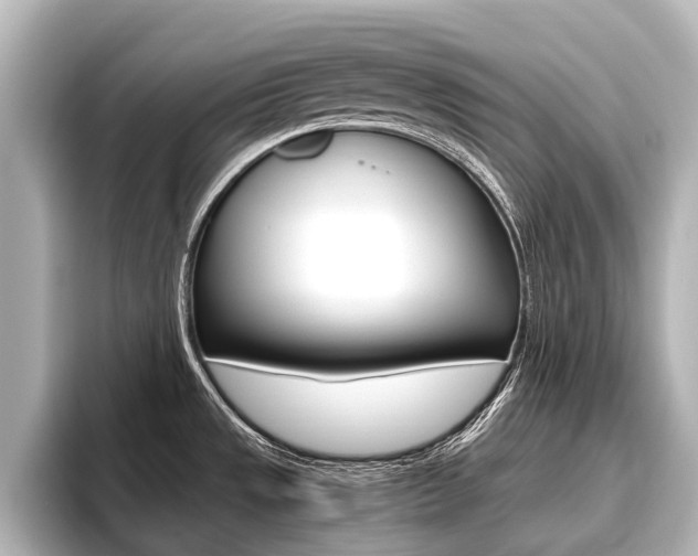 X0000096461533200801241108