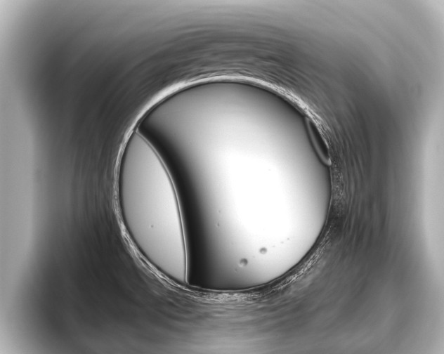 X0000096461534200801241108