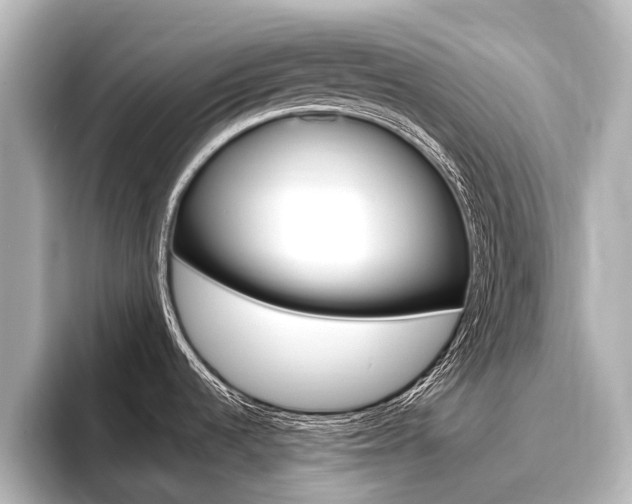 X0000096461536200801241108