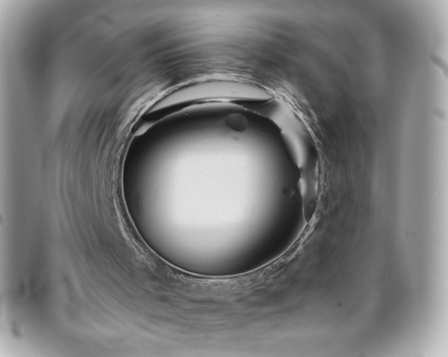 X0000096460001200801241417