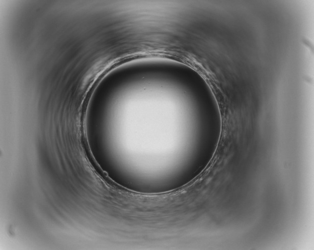 X0000096460002200801241417