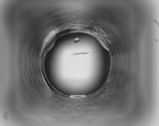 X0000096460003200801241417