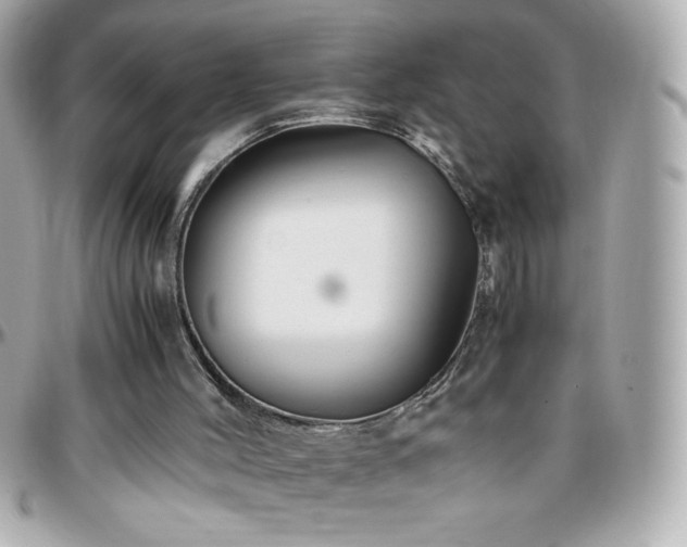 X0000096460004200801241417