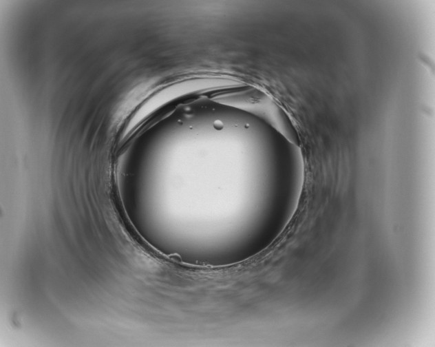 X0000096460005200801241417