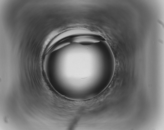 X0000096460006200801241417