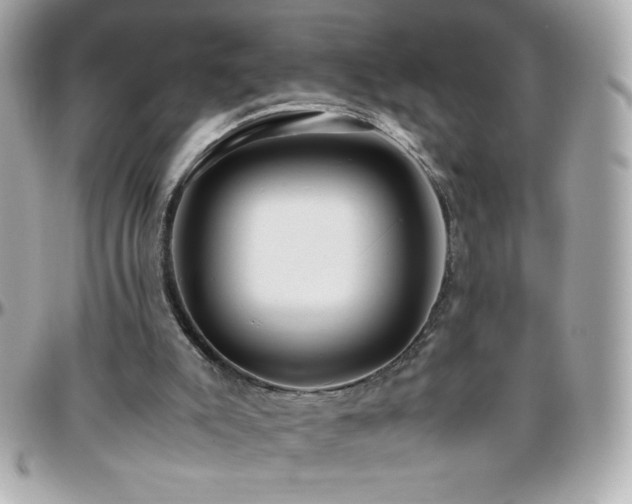 X0000096460007200801241417