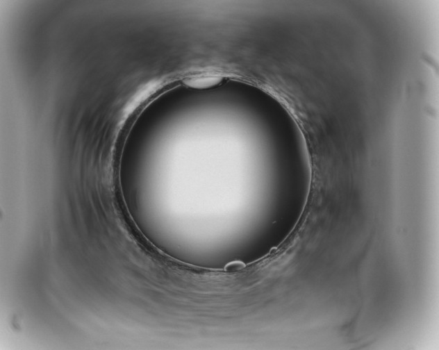 X0000096460008200801241417