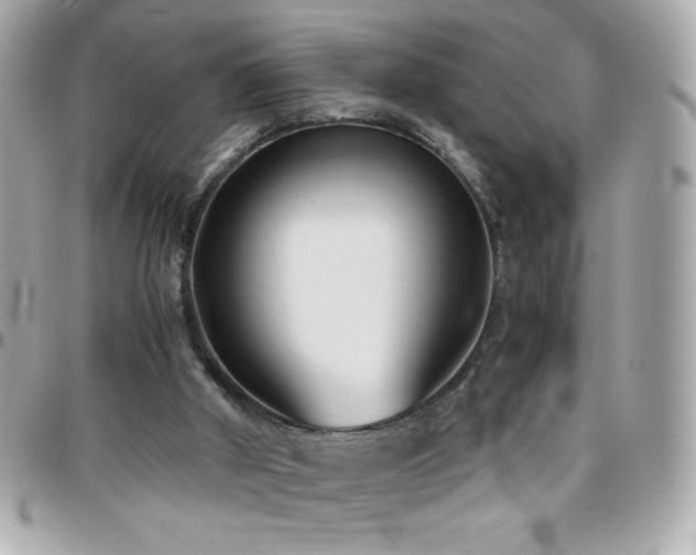 X0000096460010200801241417