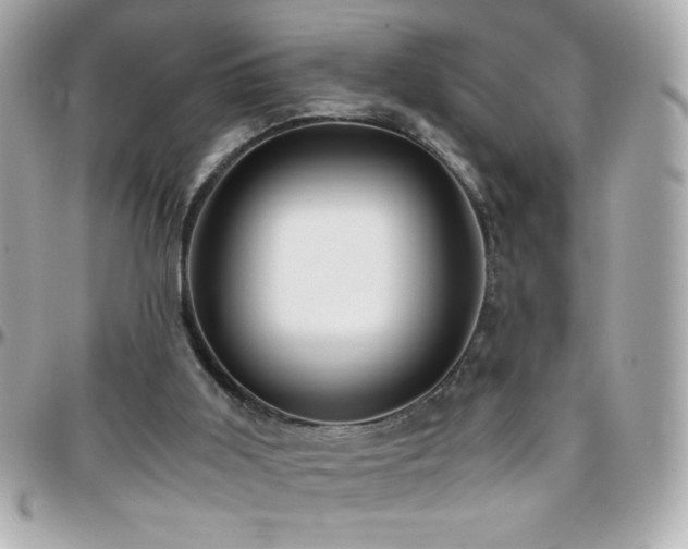 X0000096460011200801241417