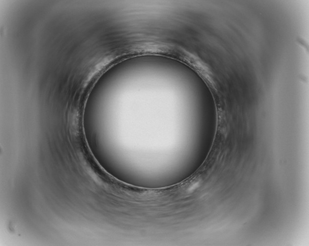 X0000096460012200801241417
