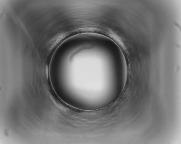 X0000096460013200801241417