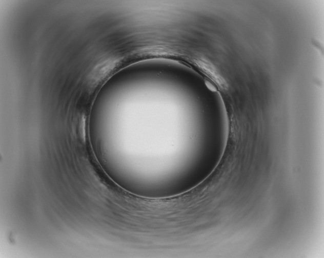X0000096460014200801241417