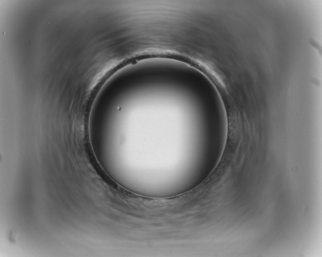 X0000096460015200801241416