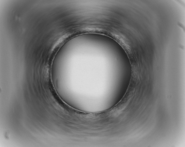 X0000096460016200801241416