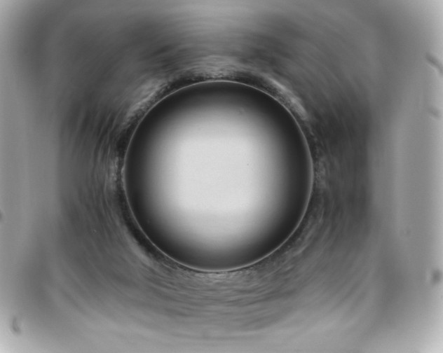 X0000096460018200801241416