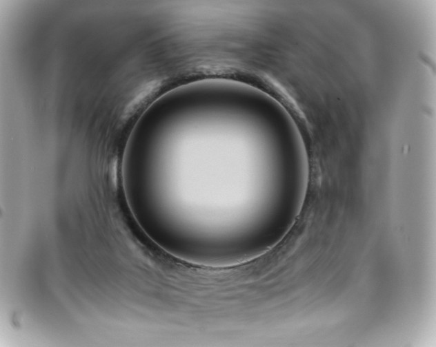 X0000096460019200801241416