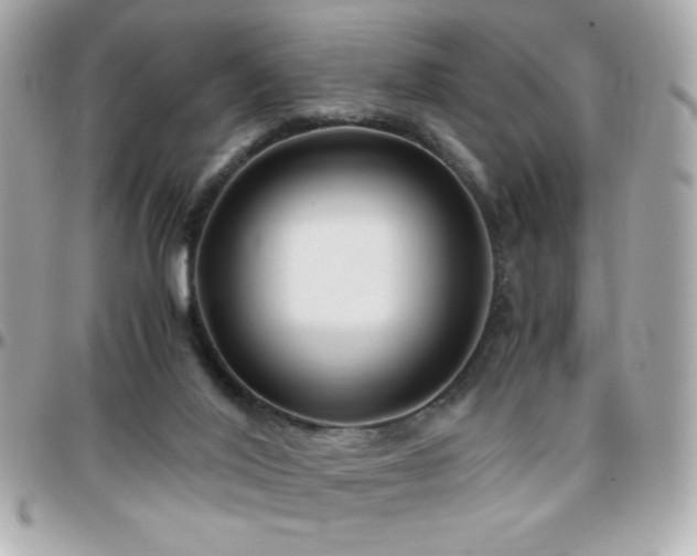 X0000096460020200801241416