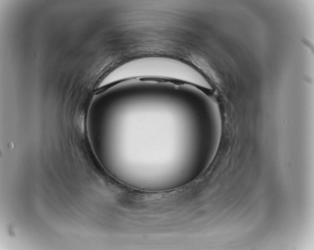 X0000096460021200801241416