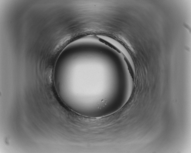 X0000096460023200801241416