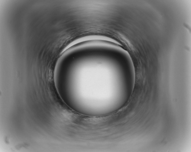 X0000096460025200801241416