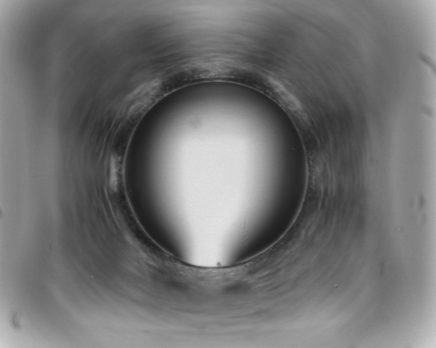X0000096460026200801241416