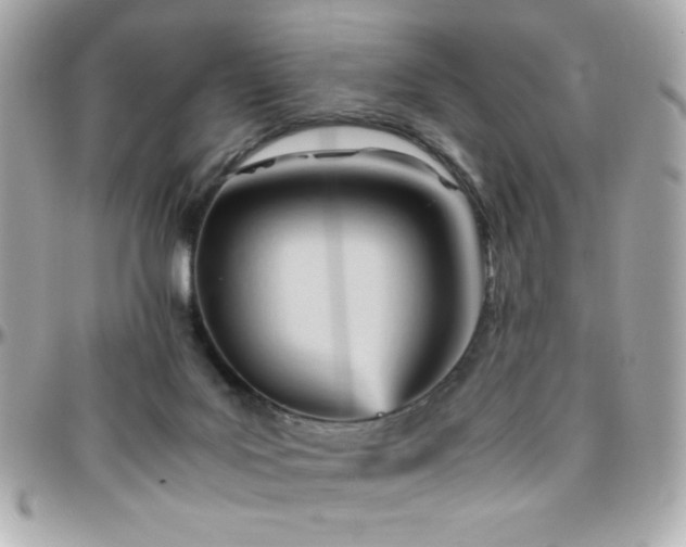 X0000096460027200801241416