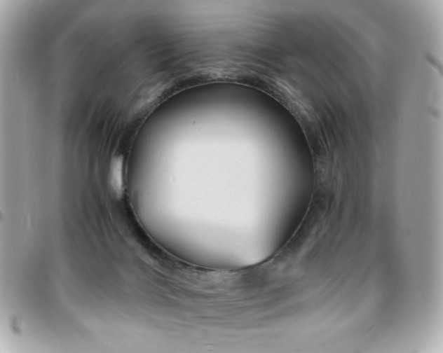 X0000096460028200801241416