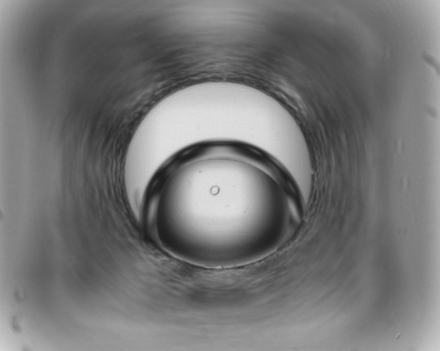 X0000096460029200801241416