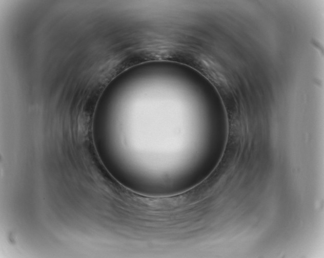 X0000096460030200801241416