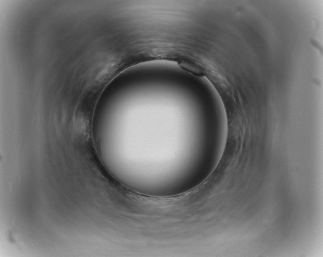 X0000096460031200801241416