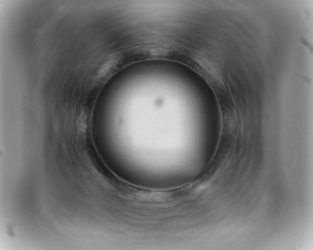 X0000096460032200801241416