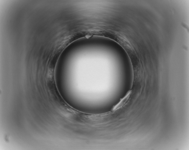 X0000096460033200801241416