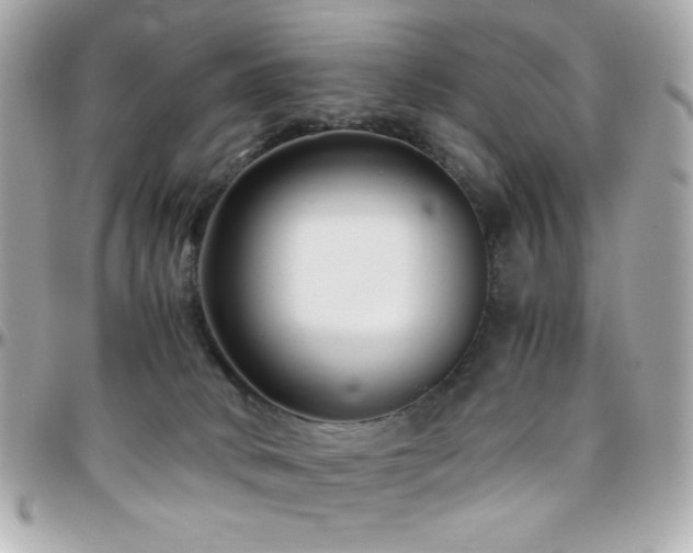 X0000096460034200801241416
