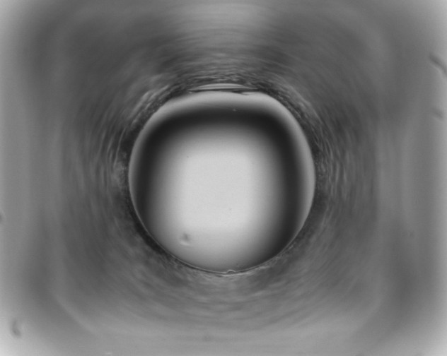 X0000096460035200801241416