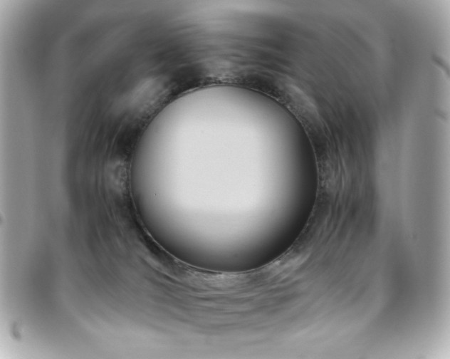 X0000096460036200801241416