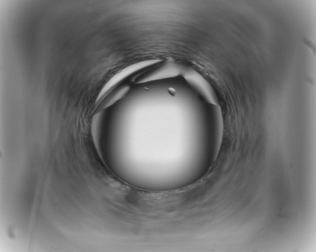 X0000096460037200801241416