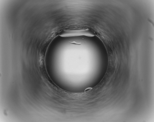 X0000096460038200801241416
