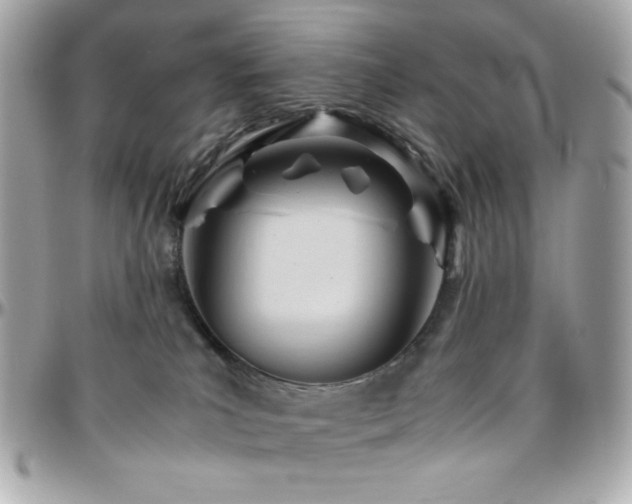 X0000096460039200801241416