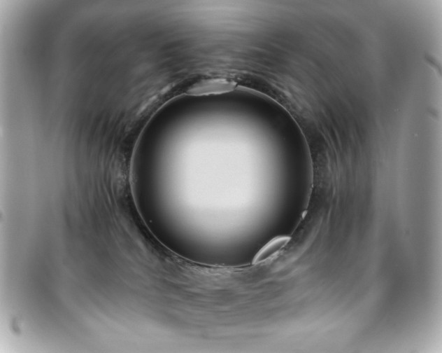 X0000096460040200801241416