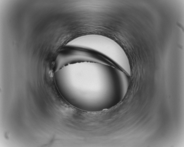 X0000096460041200801241416