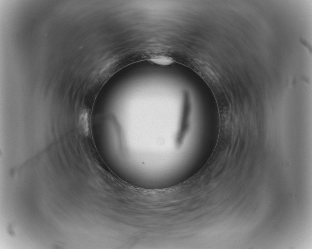 X0000096460042200801241416